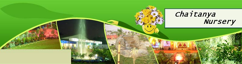 Chaitanya Nursery, Plant nursery in pune